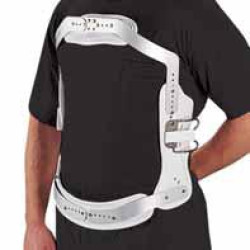 Νάρθηκας Κορμού Έκτασης